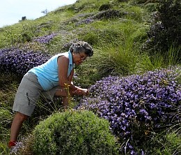 Sierra de Grazalema © Teresa Farino